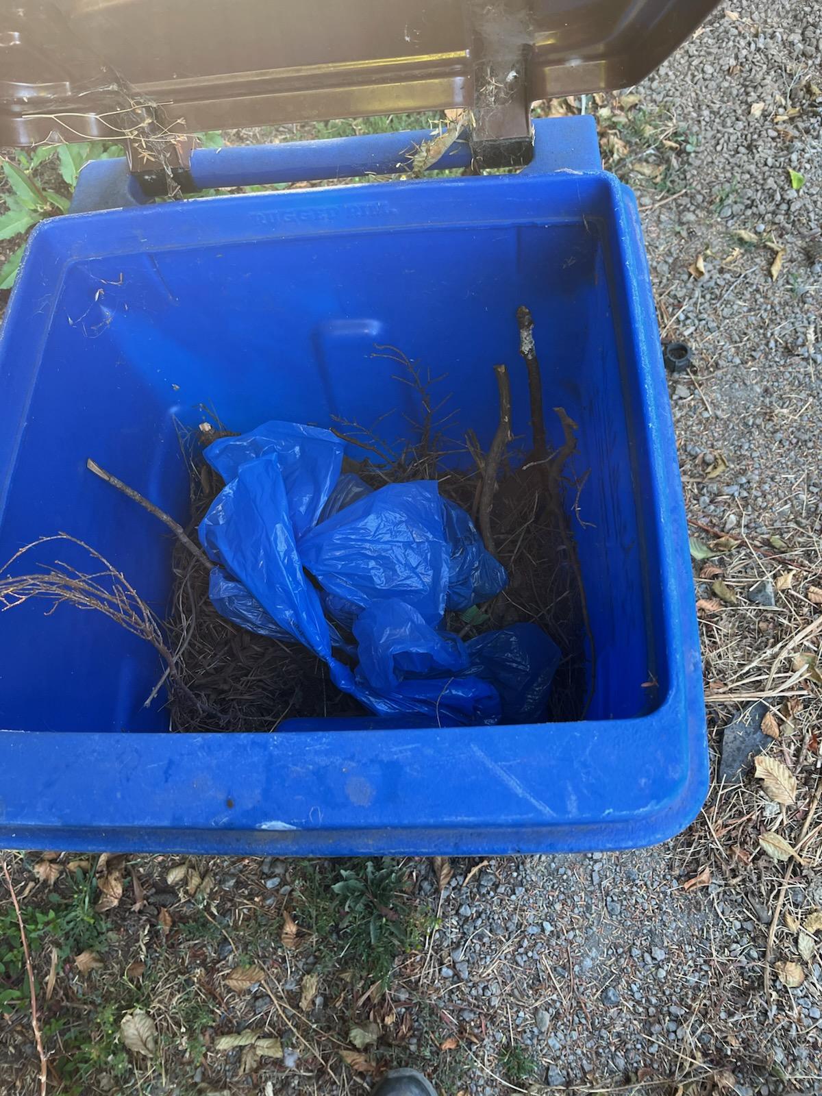 25-07 Contaminated Mixed Compost.jpg
