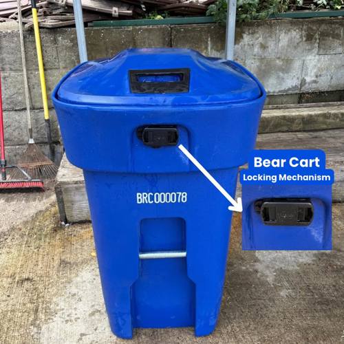25-06 Bear Cart 2.jpg