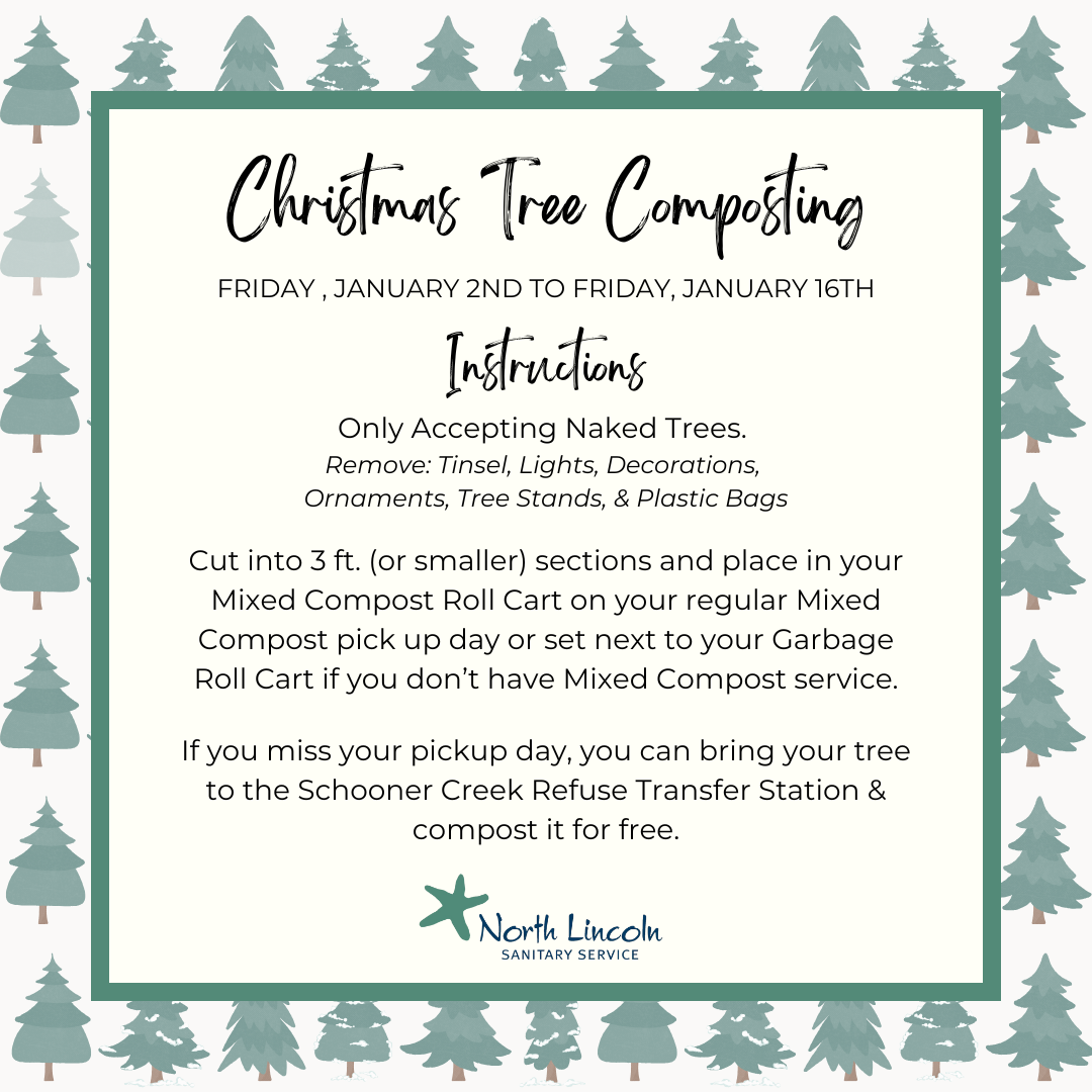 Christmas Tree Compost 25.png